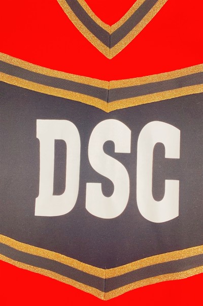 Manufacture of long-sleeved men's cheerleading uniforms Customized bronzing style V-neck cheerleading uniforms Cheerleading uniform supplier CH207 side view